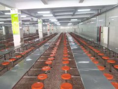 鹅坡中专 | 密织食品安全防护网 保障师生饮食健