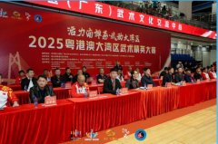 鹅坡集团董事长、佛山市武术协会